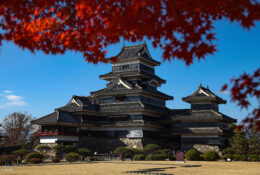 Japan_Autumn_2025 (26/47)